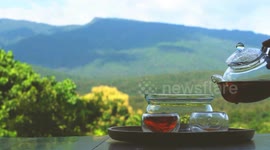 Tea exchange nurtures blossoming China-African trade opportunities