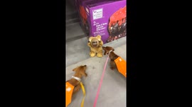 Little Home Depot workers
