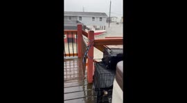 Optimism Working Overtime During Hurricane Beryl Flooding