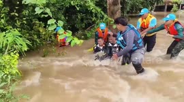 Stranded dogs rescued from severe floods in eastern Thailand