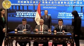 Egypt's Suez Canal Economic Zone draws Chinese investments
