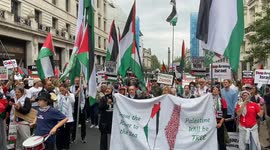 Thousands of pro-Palestine protesters gather in central London demanding a ceasefire