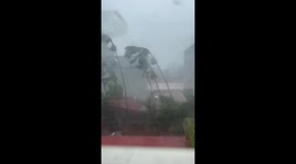 Typhoon Yagi makes landfall in Quang Ninh and Hai Phong Eyewitness footage shows very strong winds