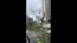 Recovery operations in Hainan after being pounded by Super Typhoon Yagi