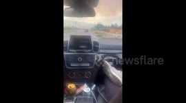 US: Herd Of Horses Runs From Wildfire South Of Reno, Nevada 2