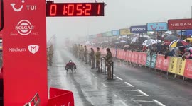 Wheelchair Race Finish at Great North Run