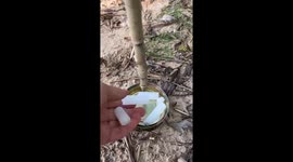 Life hack useful for survival