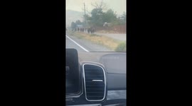 Longer version - US: Herd Of Horses Runs From Wildfire South Of Reno, Nevada