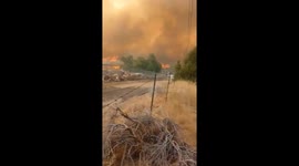 Davis Fire : Footage from home backyard shows massive blaze