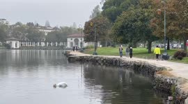 Foggy Morning in Oakland