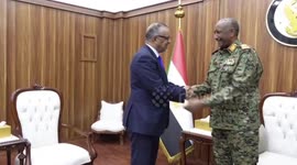 WHO chief implores int'l community to provide urgent support for Sudan