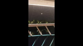 This spider was mocked by Chinese netizens for weaving a very mediocre web