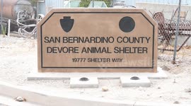 United States: San Bernardino Evacuation Center For Animals In Danger Of The Line Fire