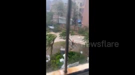 Man blown across road by 220 kph winds as super typhoon hits southern China