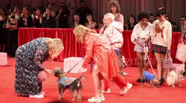 USA: Susan Alexandra x Rachel Antonoff NYFW Runway Show