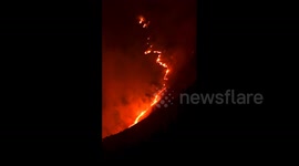 US: Line Fire Grows Explosively, Prompts Thousands To Evacuate In Southern California 13
