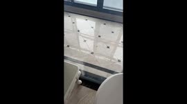 Balcony window collapses while being battered by typhoon