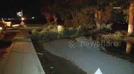 United States: Menifee High Winds Topple Large Trees