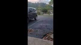 Black bear spotted around hotel in Gatlinburg, Tennessee