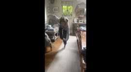 Jumping fail ends in faceplant in Guildford