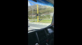 Baboon interacts with three men in Cape Town