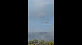 Aerial firefighter enters the scene to combat forest fire in Šibenik, Croatia