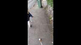 Little girl moves wheelie bin to ensure blind mom’s safety