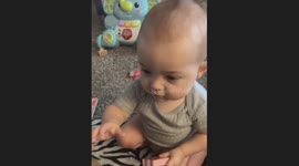 When Your Baby Is Technically Correct About Animal Noises