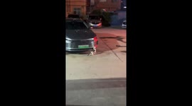 Cat catches mouse hiding behind car bumper