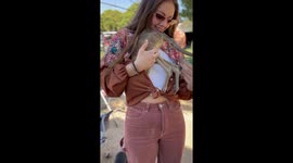 Baby Kangaroo Uses Woman's Shirt As Pouch