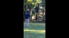 Firecracker Thrown at Hornet's Nest Doesn't Go Off