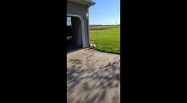 Rowdy Has Unusual Bathroom Habits