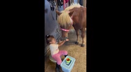 2-Year-Old Shares Fruit With Pony