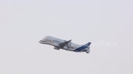Airbus Beluga: Unusual visitor departs Heathrow Airport after delivering spare parts for damaged plane