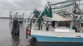 Shrimp Boats Docking in Lafitte