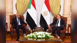 Egyptian, Sudanese FMs discuss crisis in Sudan