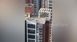 Worried resident calls police amid fears sunbathing woman was dead