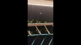 Diligent spider spins intricate web in China