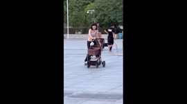 Multi-tasking mum rolls on freeline skates while pushing pram