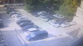 Motorist accidentally presses accelerator pushing vehicle ahead into body of water in China