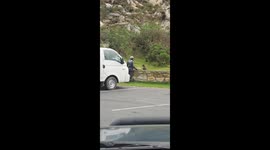 Man attacked by baboon after teasing in Cape Town, South Africa