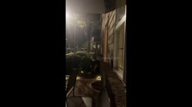 Julian scares Dalton in clown mask in Live Oak, Florida