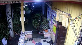 Woman fails to notice huge cobra trying to attack her on patio