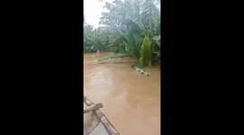 Homes flooded and streets submerged after Typhoon Yagi batters Vietnam