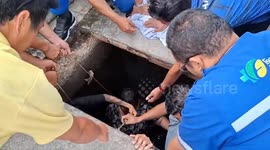 Thai woman who plunged into open manhole rescued by volunteers