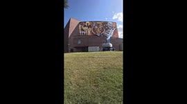 Artist's epic 'Eye of the Tiger' mural takes shape in incredible timelapse