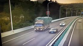 Chinese motorist's bizarre attempt to avoid fine: Man pretends to pull truck in ploy to cover number plate