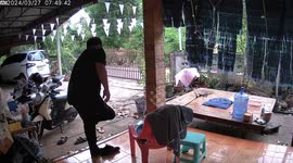 When the cat's away! Baby wild boars run inside house when owner leaves