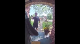 Mini Schnauzer Gives the FedEx Guy a Hug