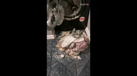 Woman laughs hysterically after husband's feather pillow turns washing machine into mess